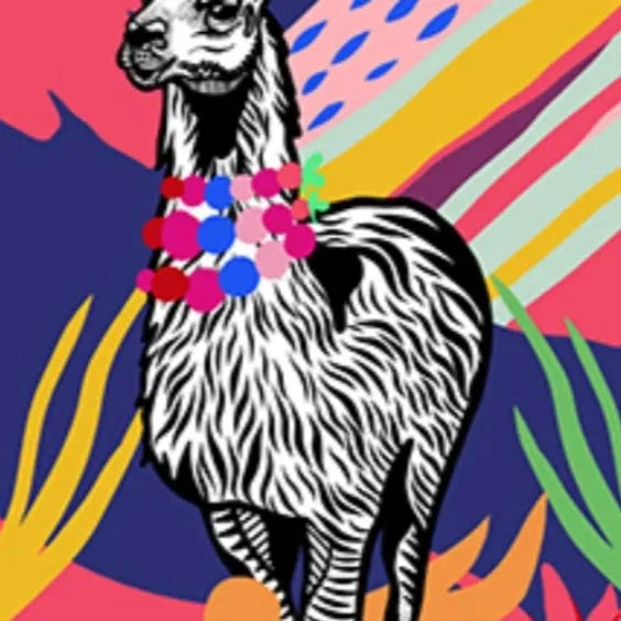 Discorama Llama | Gosnells Hotel | Feb 9th
